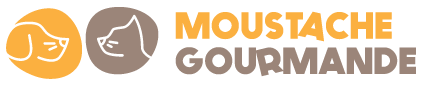 moustache-gourmande-logo
