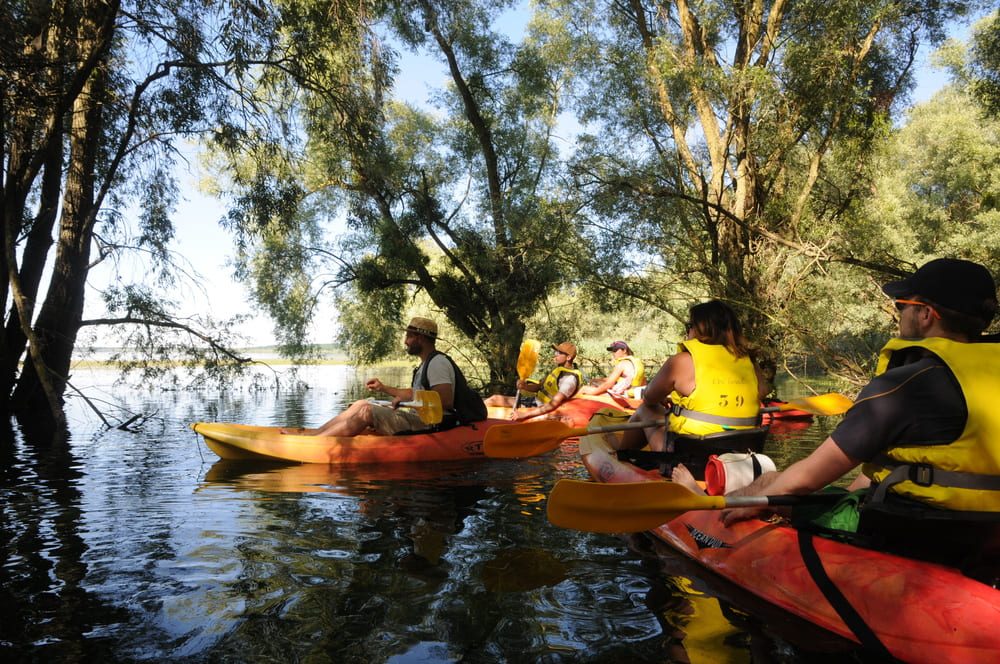 kayak