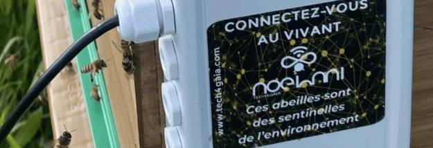 les ruchers de la conscience les ruchers de la conscience