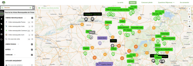 les arbres remarquables aube
