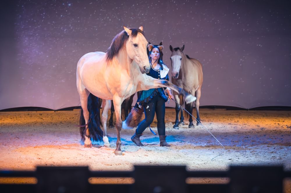 Spectacle Théâtre Equestre de Champagne
