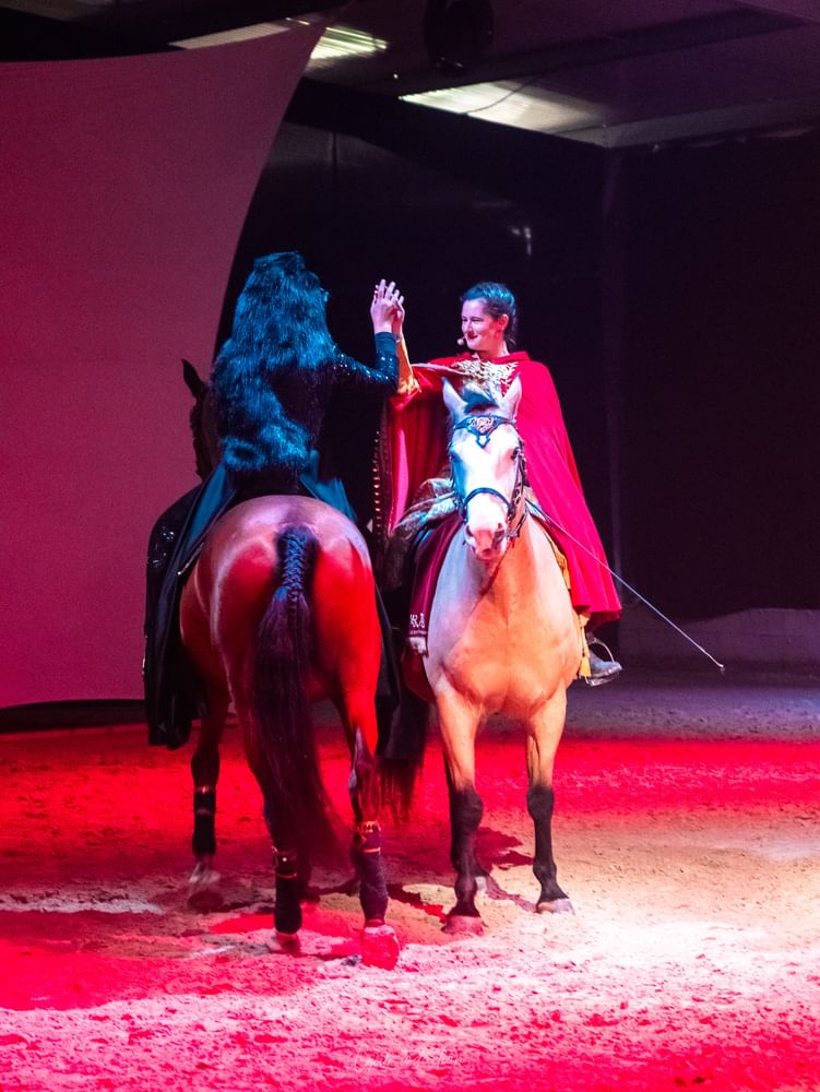 Théâtre Equestre de Champagne Spectacle